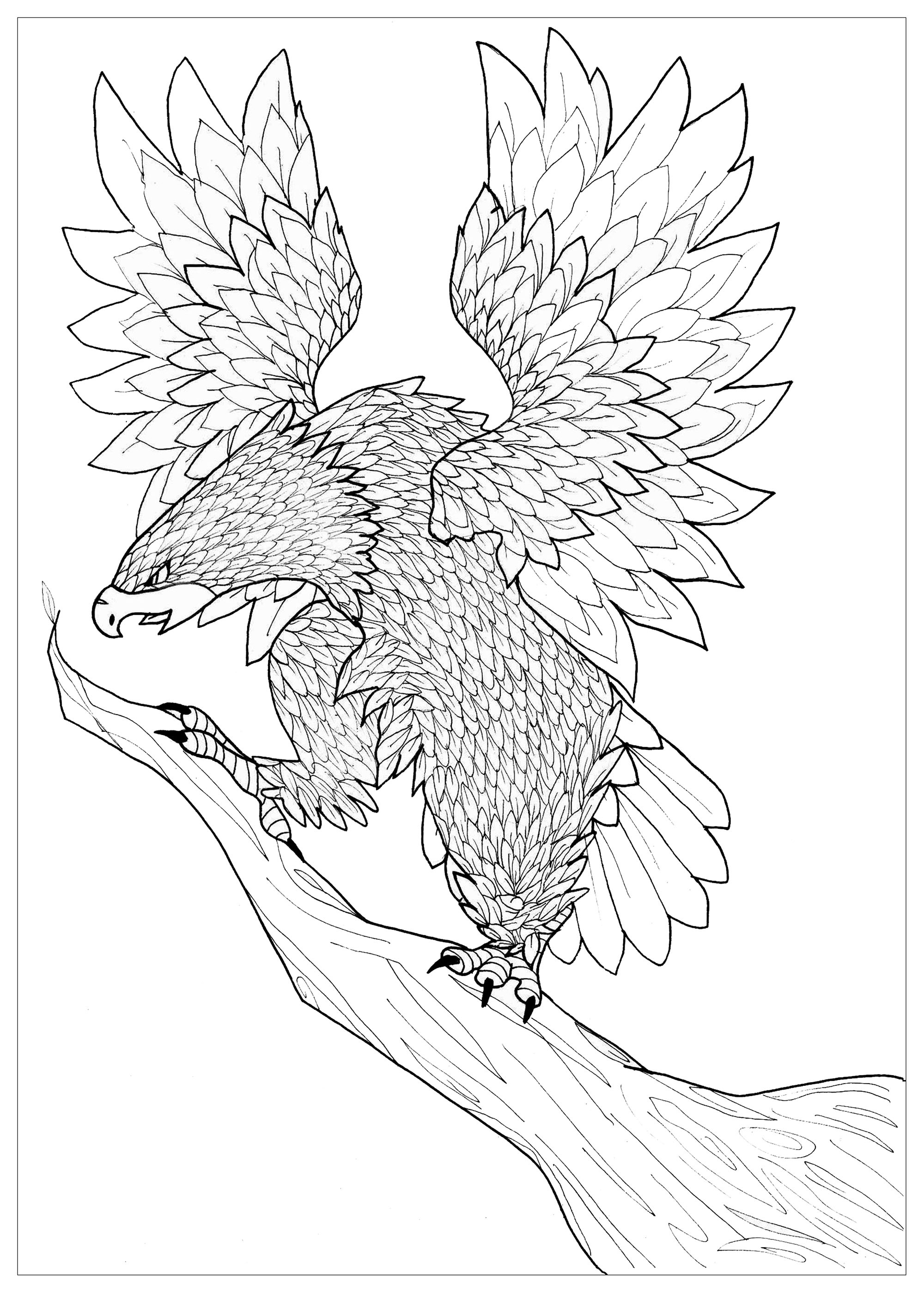 2 image=animaux coloriage adulte aigle 1