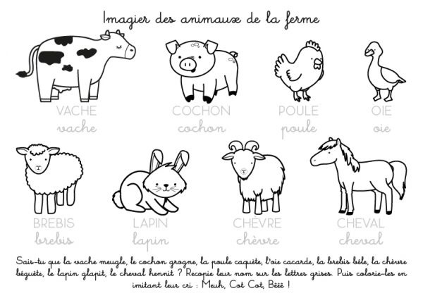 coloriage a imprimer imagier des animaux de la ferme