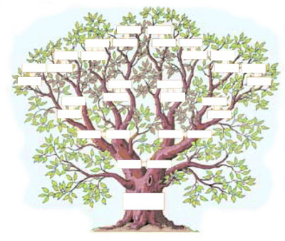 arbre genealogique des thonney vuillens