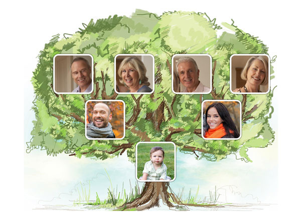 pack 50 arbres portraits famille logiciel montage photo