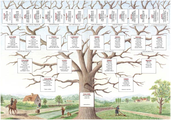 assistance mande arbre genealogique grand format