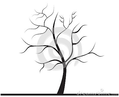 photo stock arbre sans feuilles image
