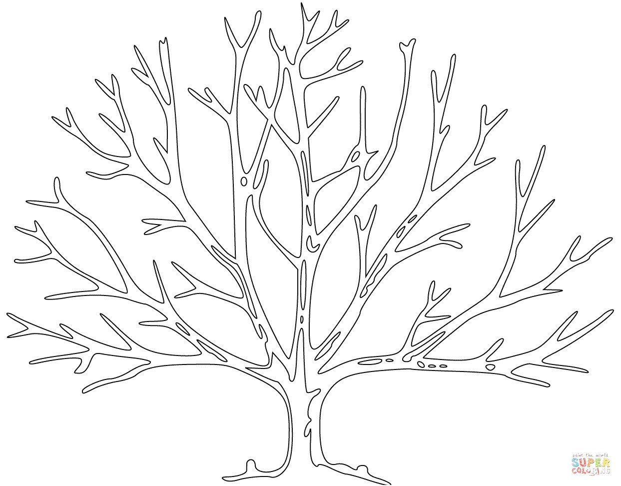 arbre hiver clipart collection avec arbre hiver clipart 32 et arbre dessin sans feuille 41 bare tree stock photos and arbre dessin sans feuille