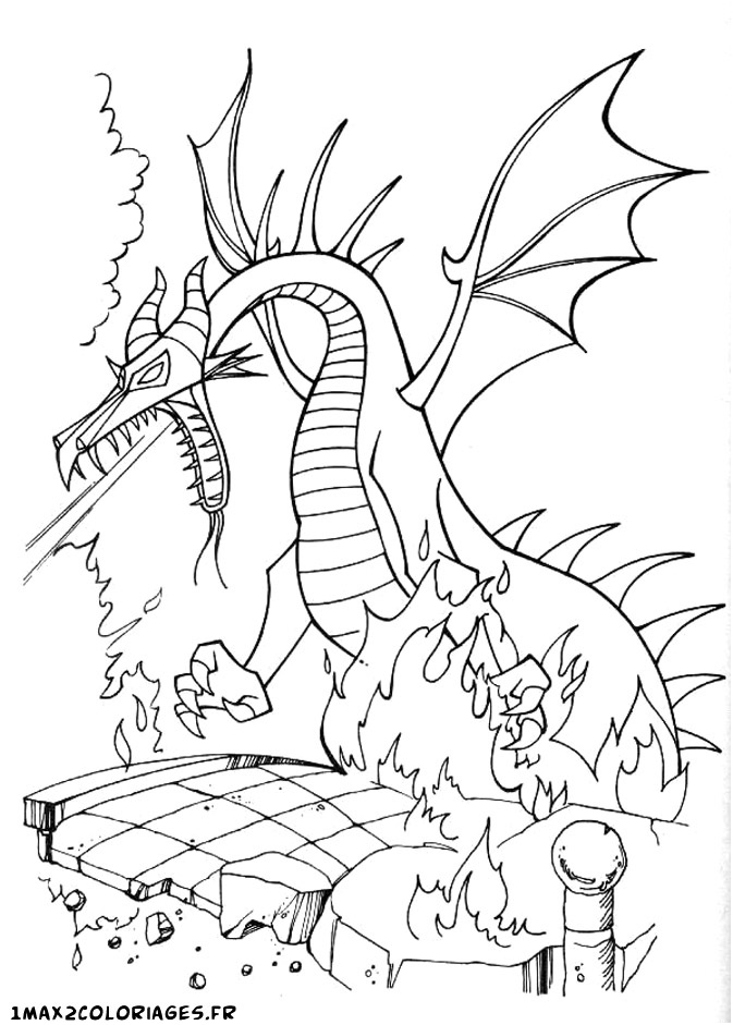 dragon belle au bois dormant