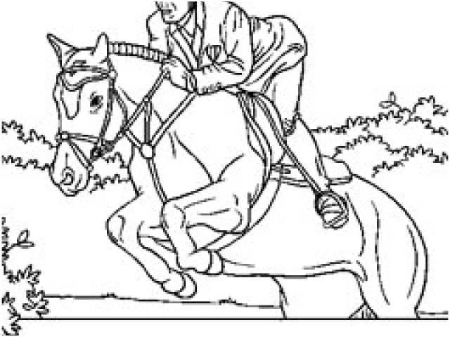 tag coloriage de cheval qui saute un obstacle