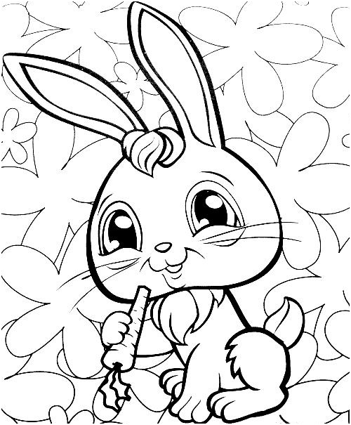 coloriage pet shop lapin