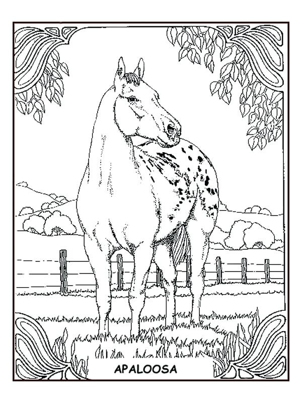 coloriage mandala cheval imprimer gratuit