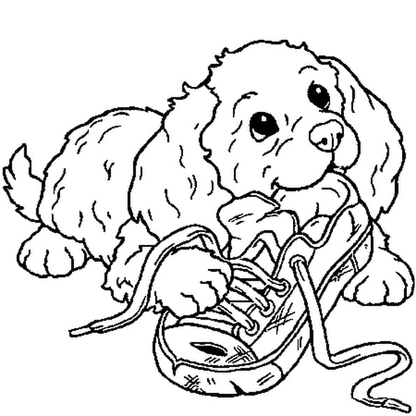dessin a colorier imprimer chien