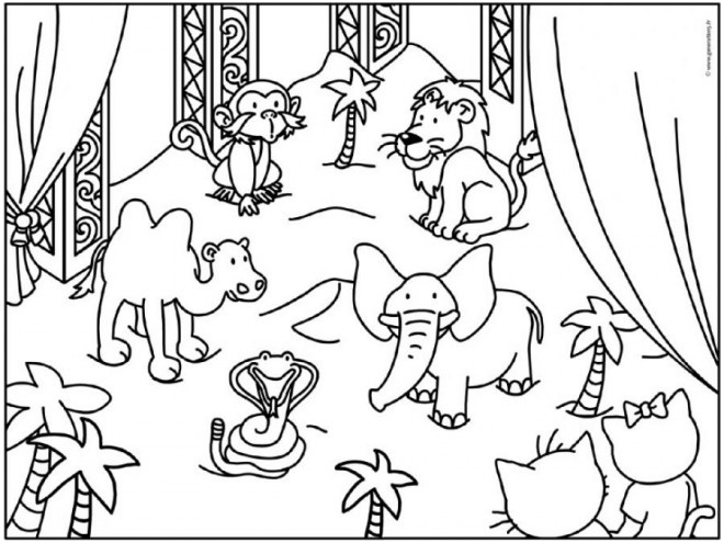 animaux de zoo dessin anime 9180