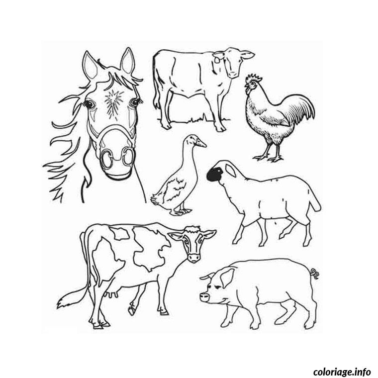ferme et animaux coloriage dessin 117