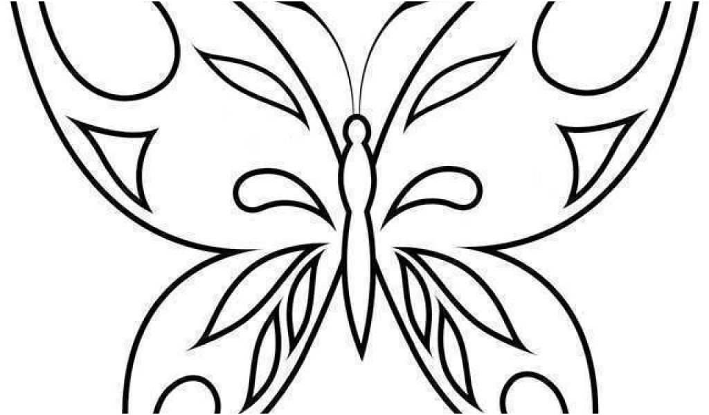 coloriage papillon a imprimer hugo l039escargot elegant 74 coloriage a imprimer hugo l escargot