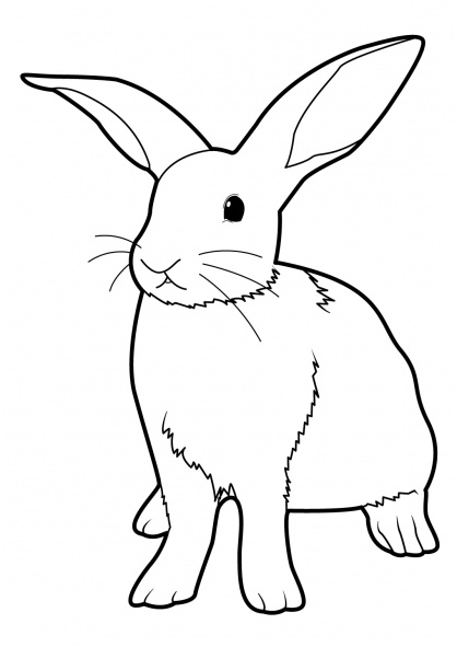 coloriage lapin page