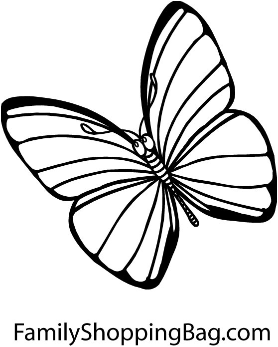 coloriage papillon imprimer gratuit