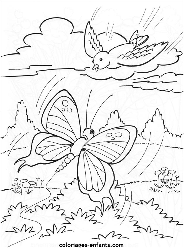 papillons dessins