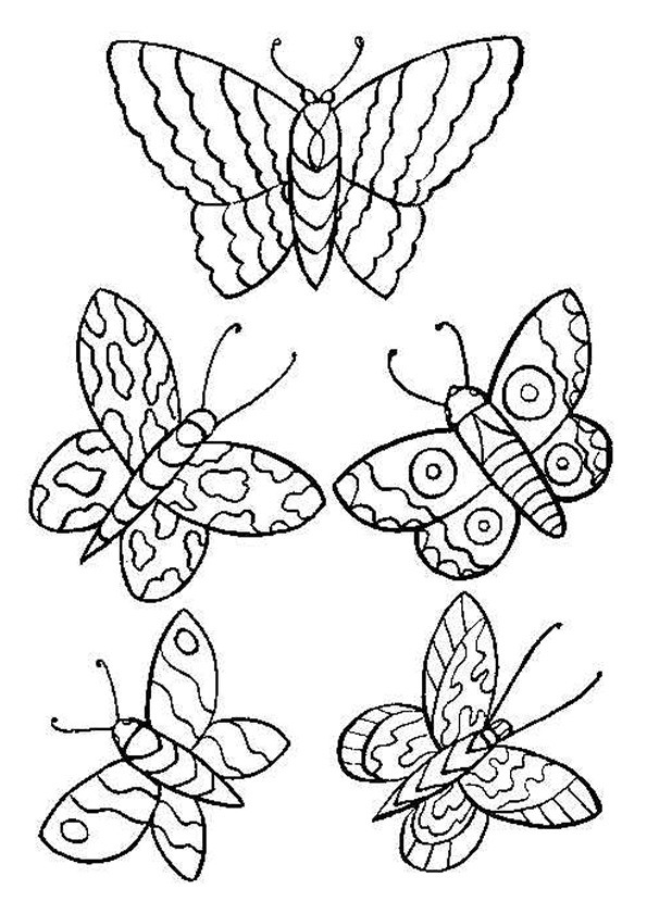 papillons stylises