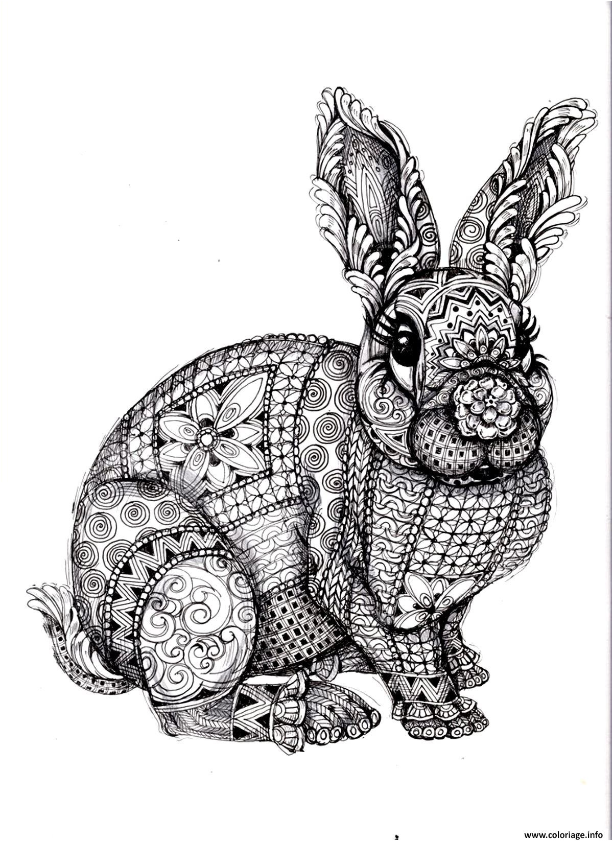 adulte difficile lapin coloriage dessin