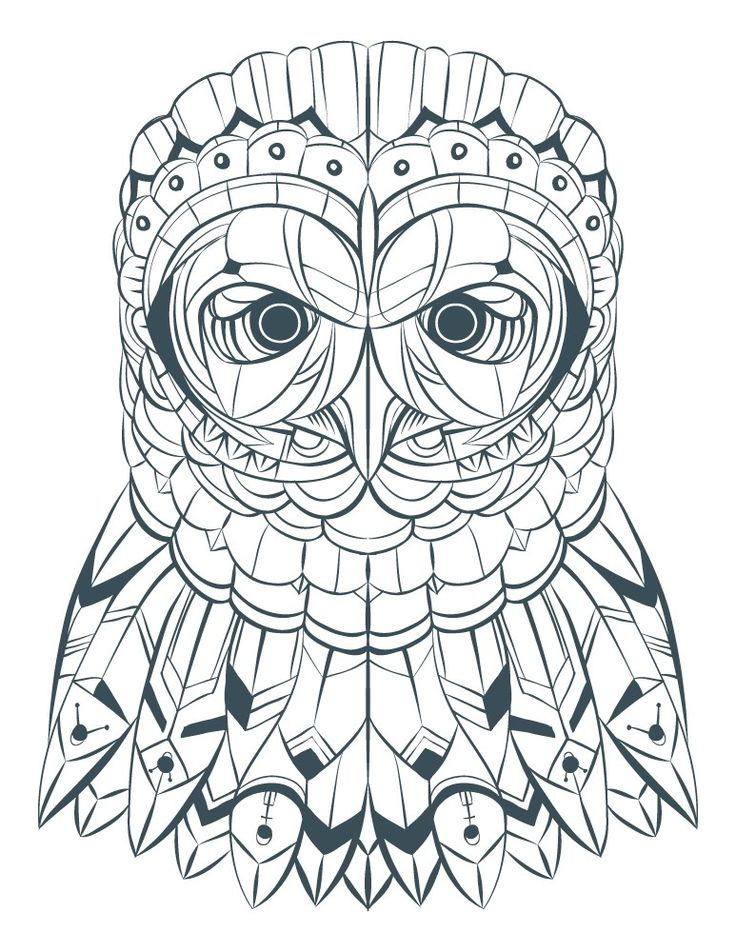 coloriages de hiboux pour adulte owl adult colorin
