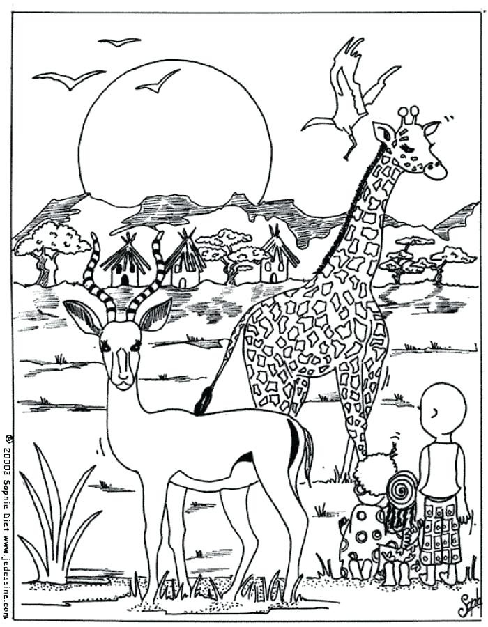 coloriage animaux afrique maternelle inspirational dessin africain a imprimer az coloriage coloriages de girafes