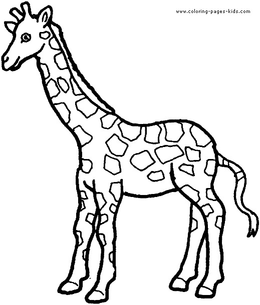 coloriage animaux afrique maternelle lovely giraffe coloring picture crafty ideas pinterest
