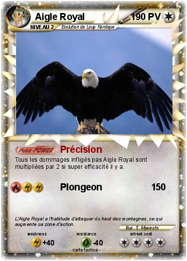 Pokemon Aigle Royal 17