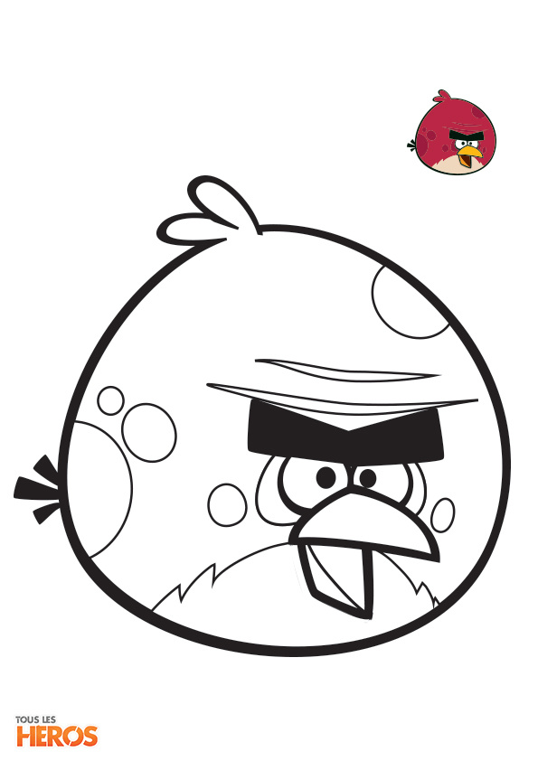 coloriages angry birds