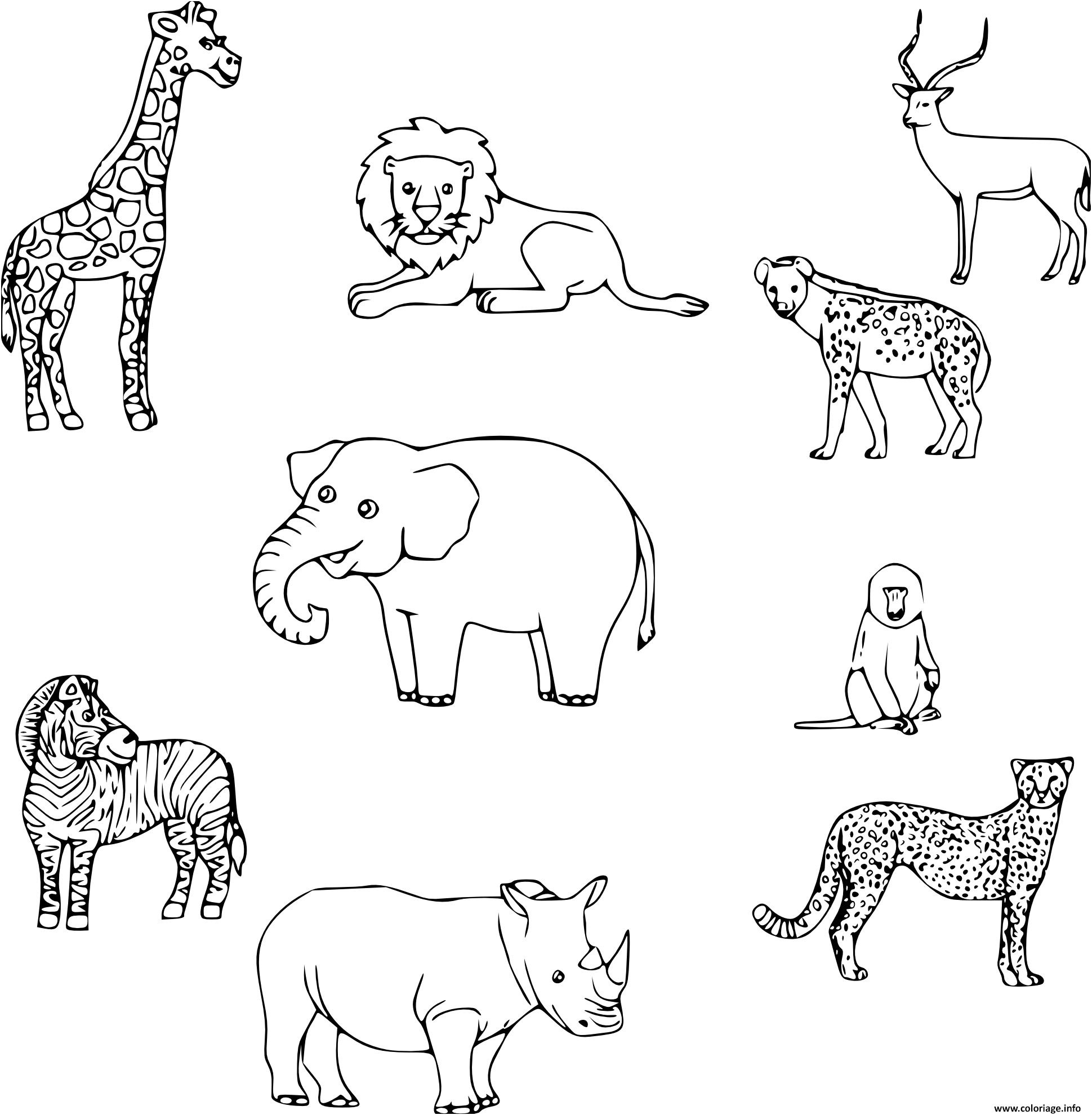 animaux savane coloriage dessin