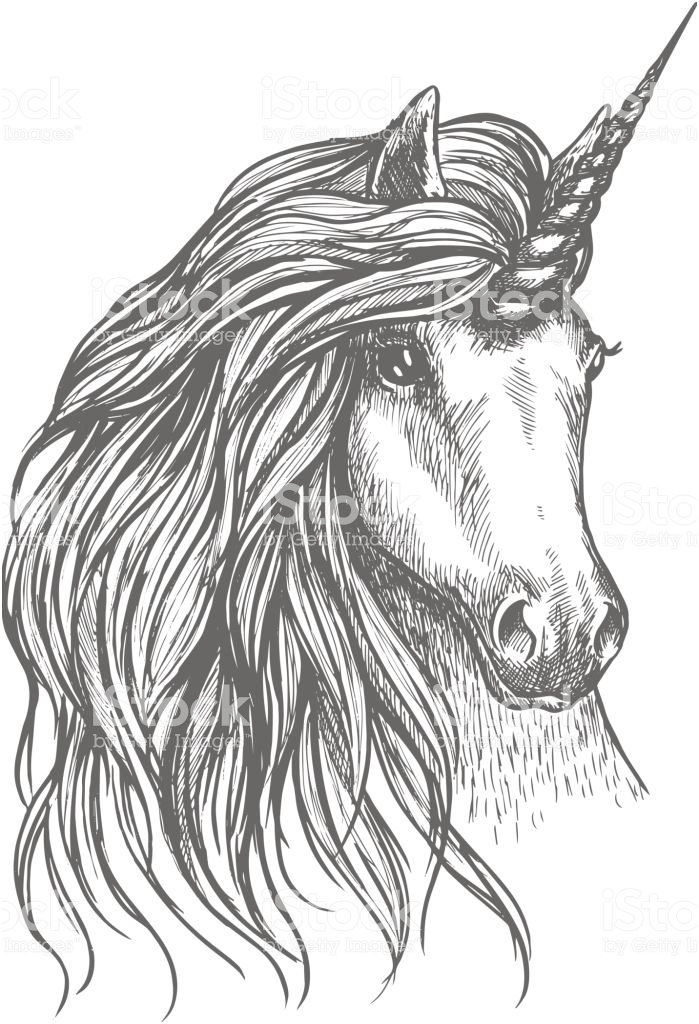 cheval fantastique licorne dessin pour la conception de tatouage gm