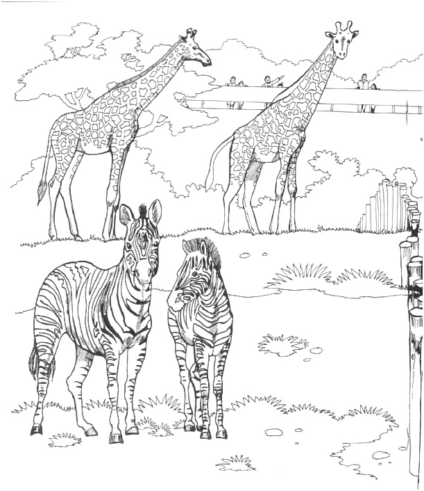 coloriages zoo