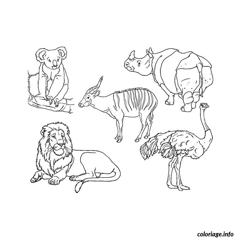 animaux zoo coloriage 106