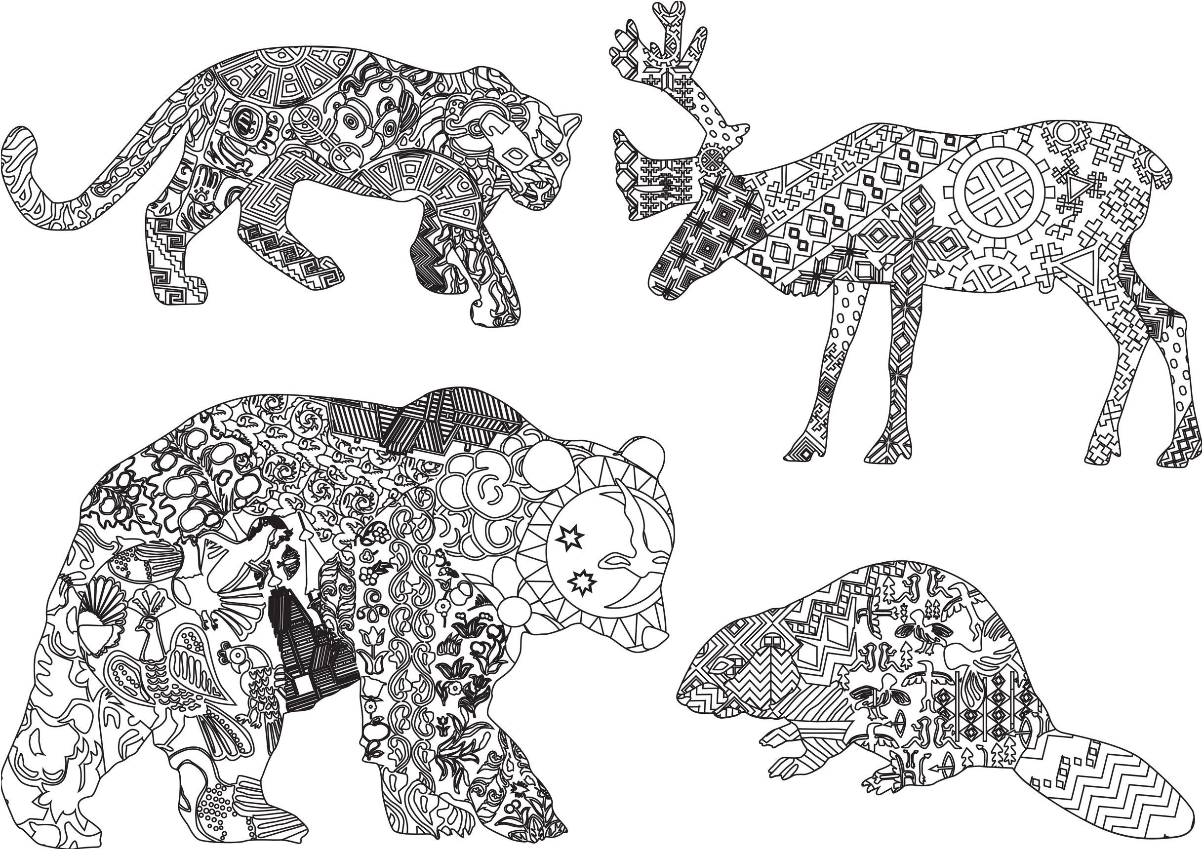 animaux sauvages coloriage