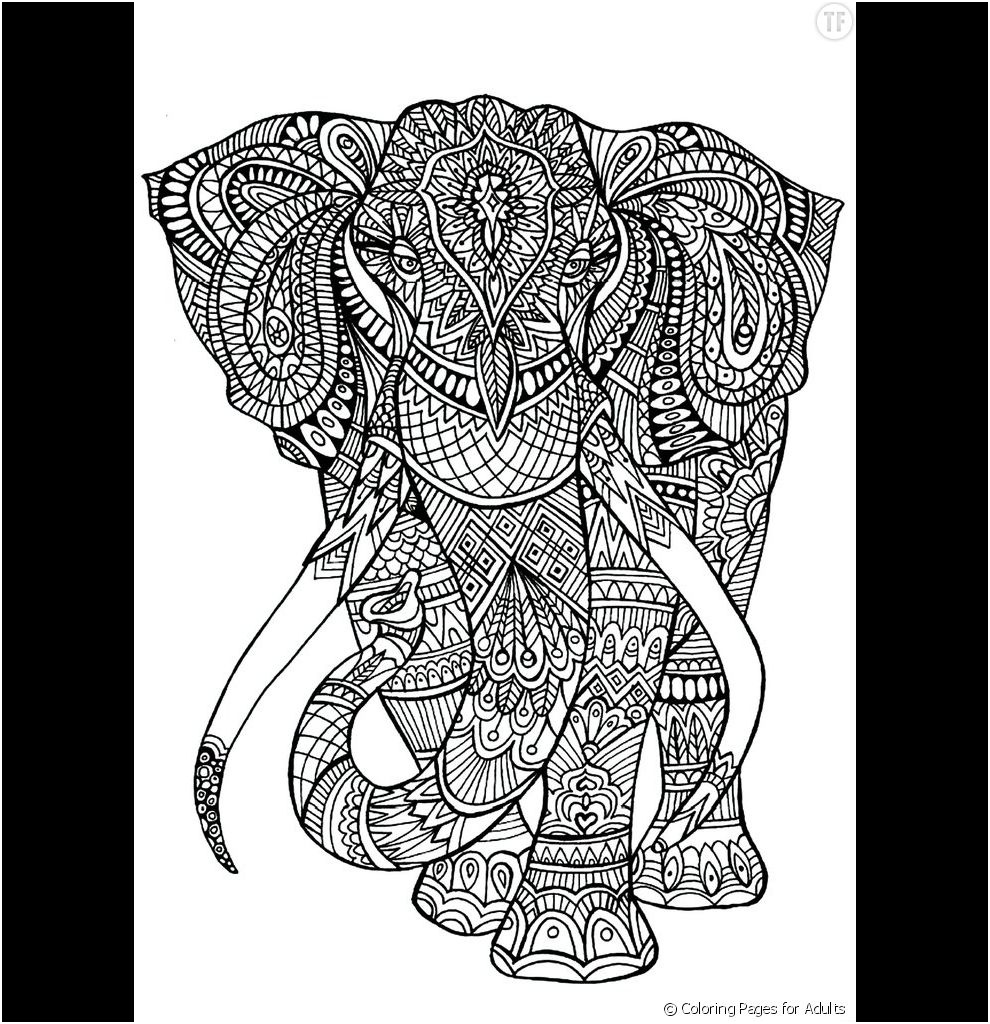coloriage anti stress a imprimer elephant