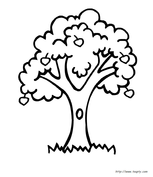 dessin arbre fruitier colorier