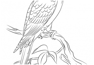 coloriage assassinamp039s creed a imprimer unique assassin s creed 32 jeux videos coloriages a imprimer