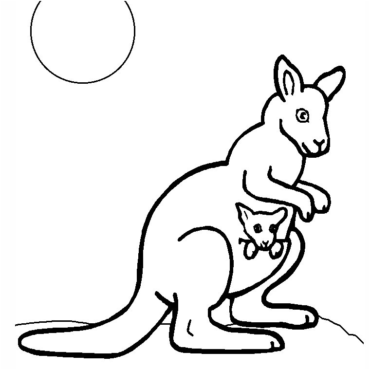 dessin de kangourou 2
