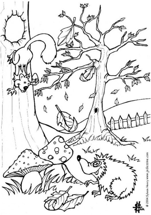 coloriage automne ecureuil et herisson i6444