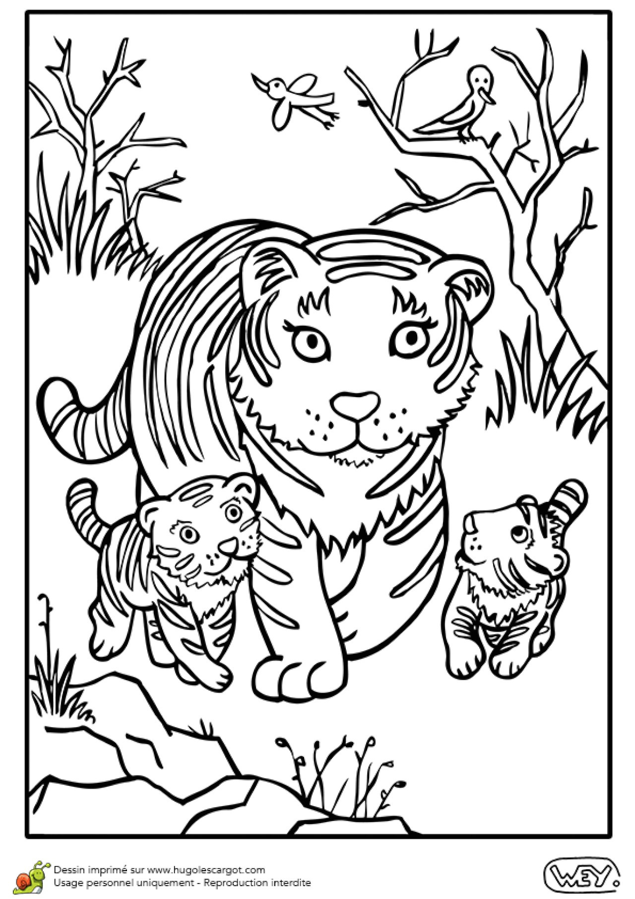 coloriage maman et bebe animaux dessin colorier d une maman tigre et de ses tigreaux