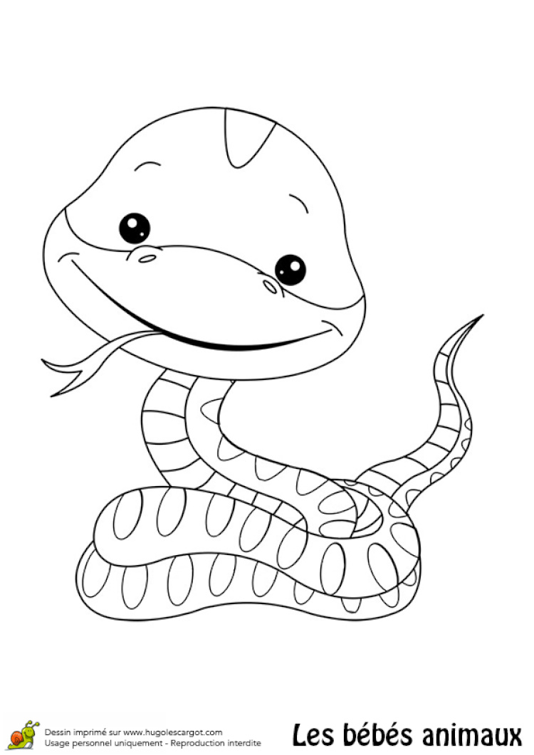 Coloriage animaux trop mignon coloriage animaux trop mignon 212