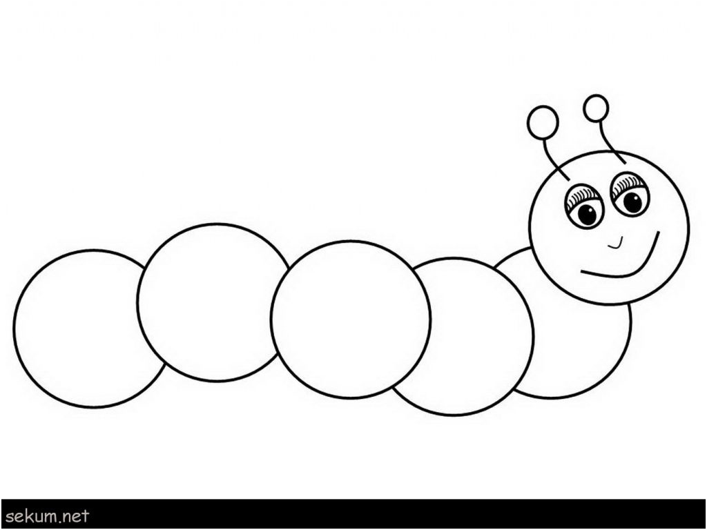 caterpillar coloring pages