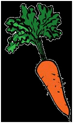 dessin carotte
