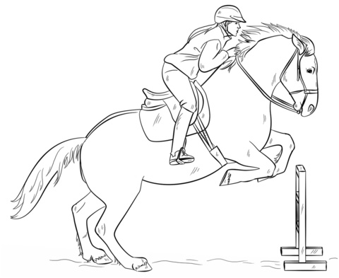 cheval sautant avec un cavalier