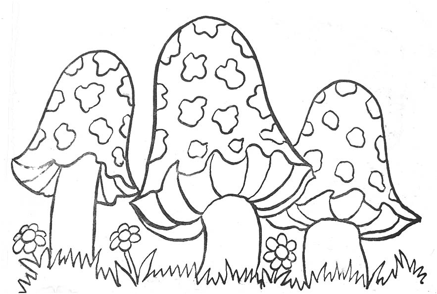 image=champignons coloriage champignons 2 1