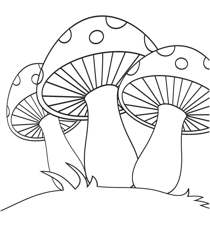 coloriage champignon
