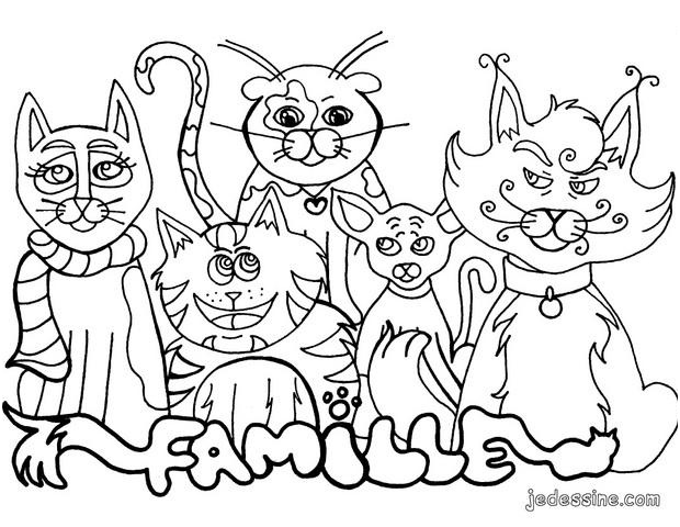 famille de chats