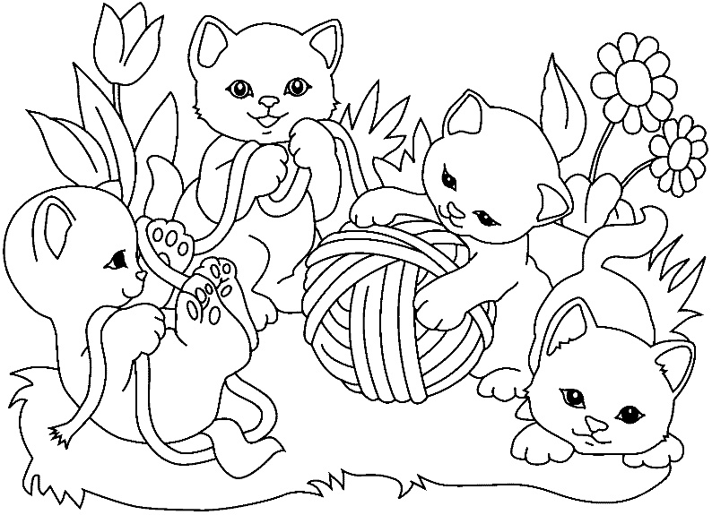 rub Coloriage Chat