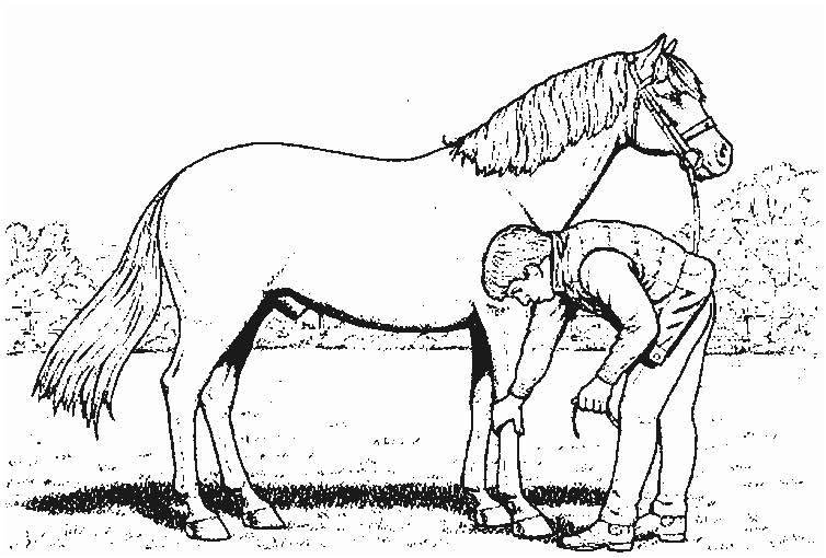 dessin cheval a imprimer 7230