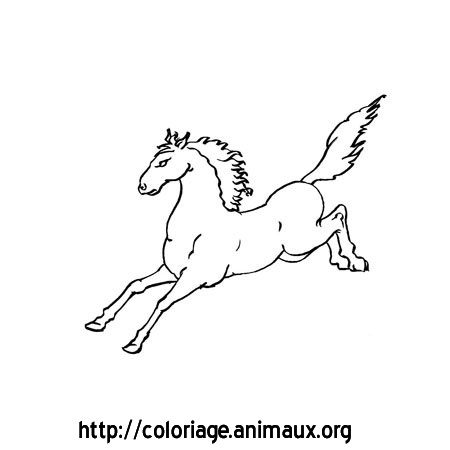 coloriage animaux org js cheval97 png