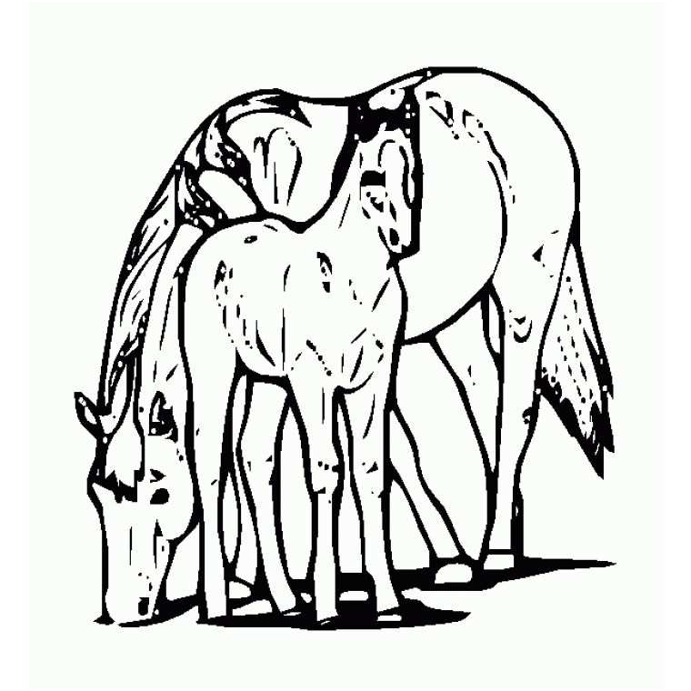 3263 coloriage cheval et son poulain a imprimer gratuit 4763 chevaux et poulain coloriage dessin