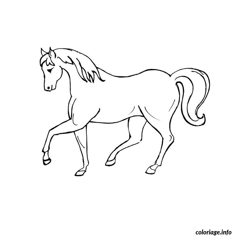 vrac cheval coloriage 289