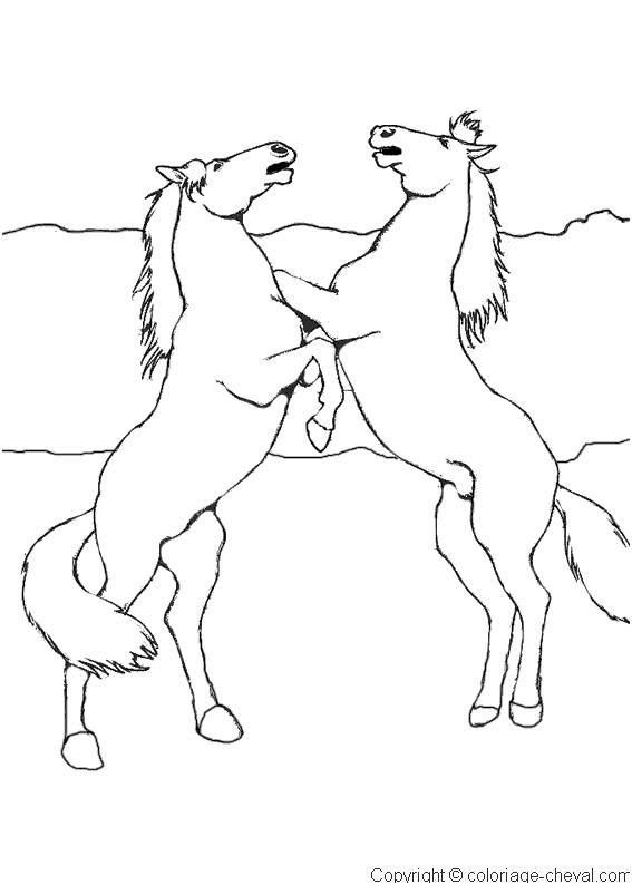 chevaux cabres maternelle 1181