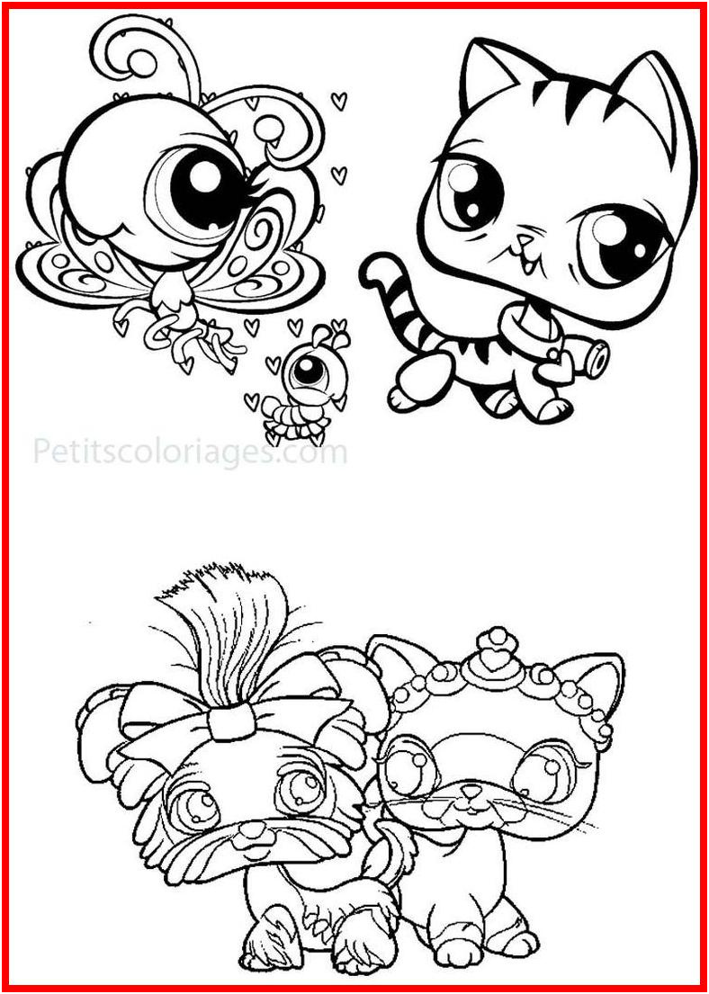 coloriage chat et chien 10 coloriage chien et chat a imprimer 70 coloriage de chat et chien